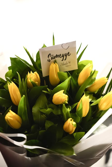 A bouquet of fresh yellow tulips with green stems and leaves, arranged in white wrapping paper with a decorative white ribbon. The tulips are tightly clustered, showcasing their smooth, closed petals