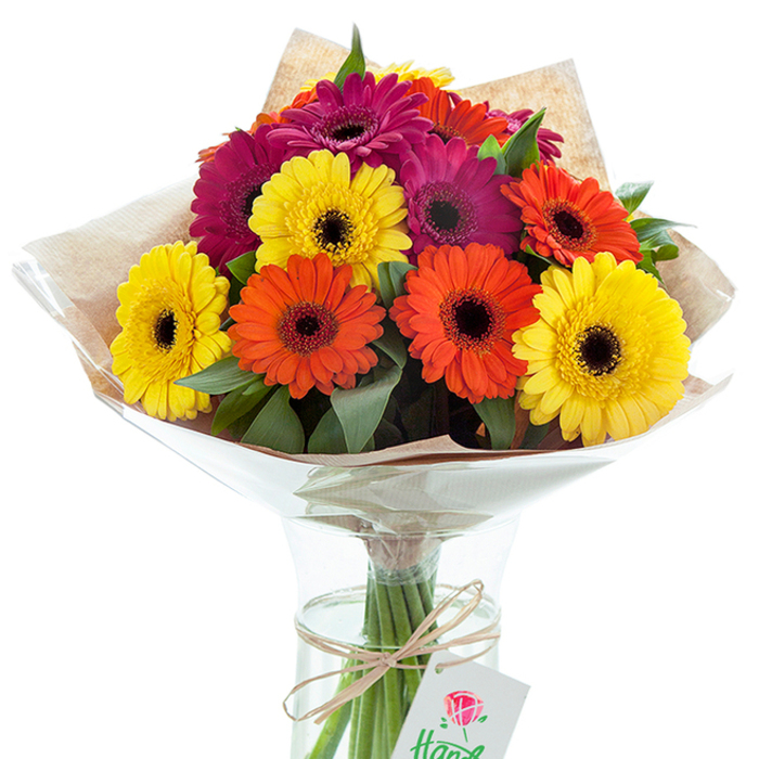 Resplendent in an array of bright, cheerful tones, this Gerbera daisy arrangement takes center stage, poised elegantly in a clear, shapely glass vase. The bouquet is a symphony of colour, with large, daisy faces radiating golden yellow, fiery orange, and rich magenta petals, all focused around striking, inky centers that provide a bold contrast. Meticulously structured by Kingston Vale florists who know the subtle preferences of their local clientele, the bouquet is interspersed with glossy green foliage to add texture and a nod to the verdant woodlands on Kingston Hill. The blooms are gathered and wrapped in a layer of light brown, finely grained kraft paper to evoke a rustic yet sophisticated charm, then shielded by a crinkled, translucent cellophane that curves naturally around the flowers. This stylish double wrapping hints at a thoughtful gift, whether for a milestone celebration on Robin Hood Way or a just-because delivery in Coombe. Visible through the glass, the fresh stems drink from clear water while a coarse twine bow anchors a petite gift tag adorned with a scarlet floral motif-an elegant mark of personal care. Set against a luminous white background, the arrangement exudes both professionalism and warmth, making the image an ideal representation of local Kingston Vale flower delivery. The bouquet offers a little burst of nature's joy, expertly crafted and ready to fill any home or celebration with colour and meaning.